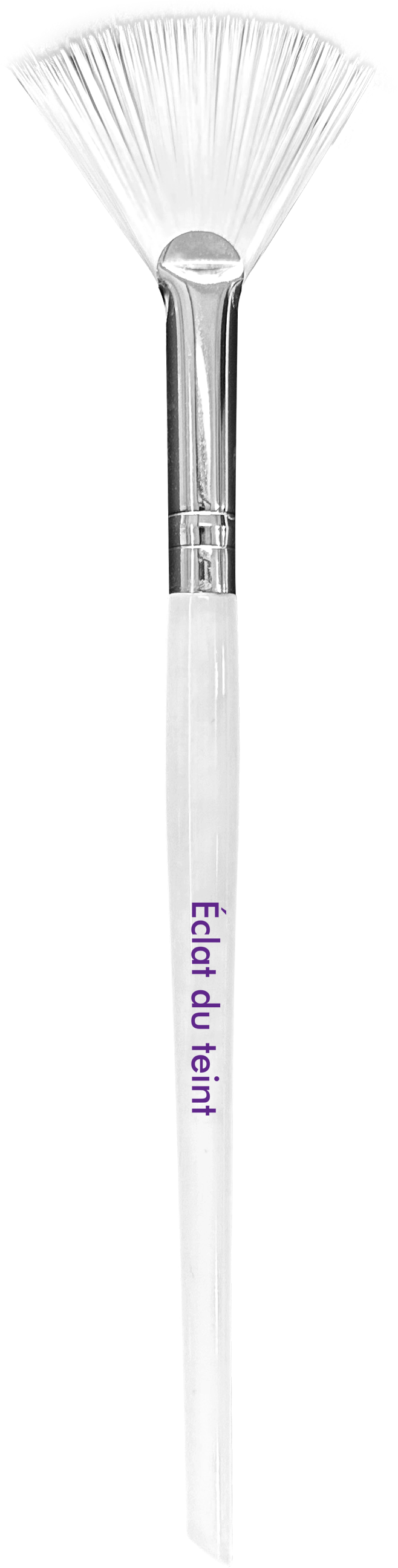 Éclat du teint Fan Pack Brush (PRO)