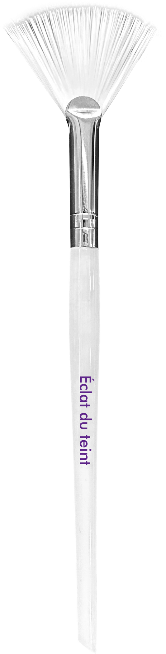 Éclat du teint Fan Pack Brush (PRO)