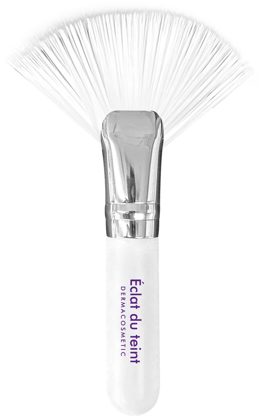 Éclat du teint Short Pack Brush (PRO)