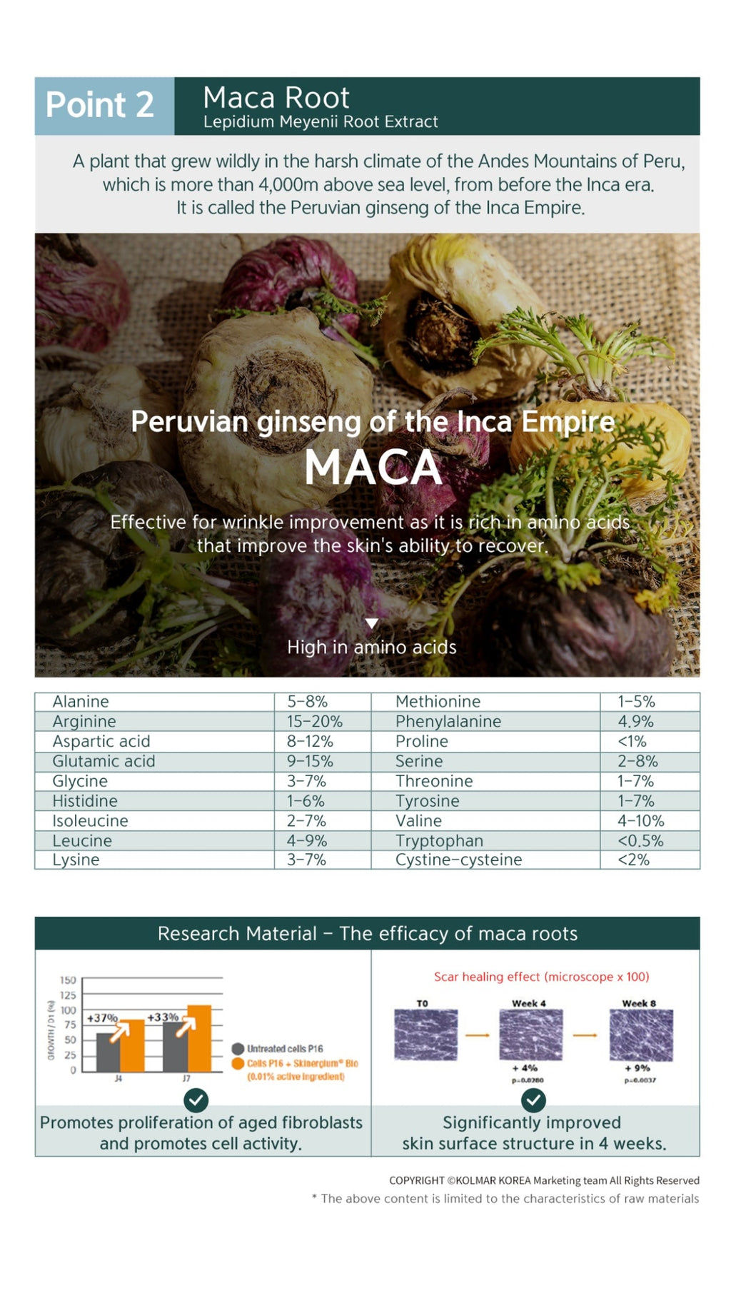 Rejuvenating Toner 200ml